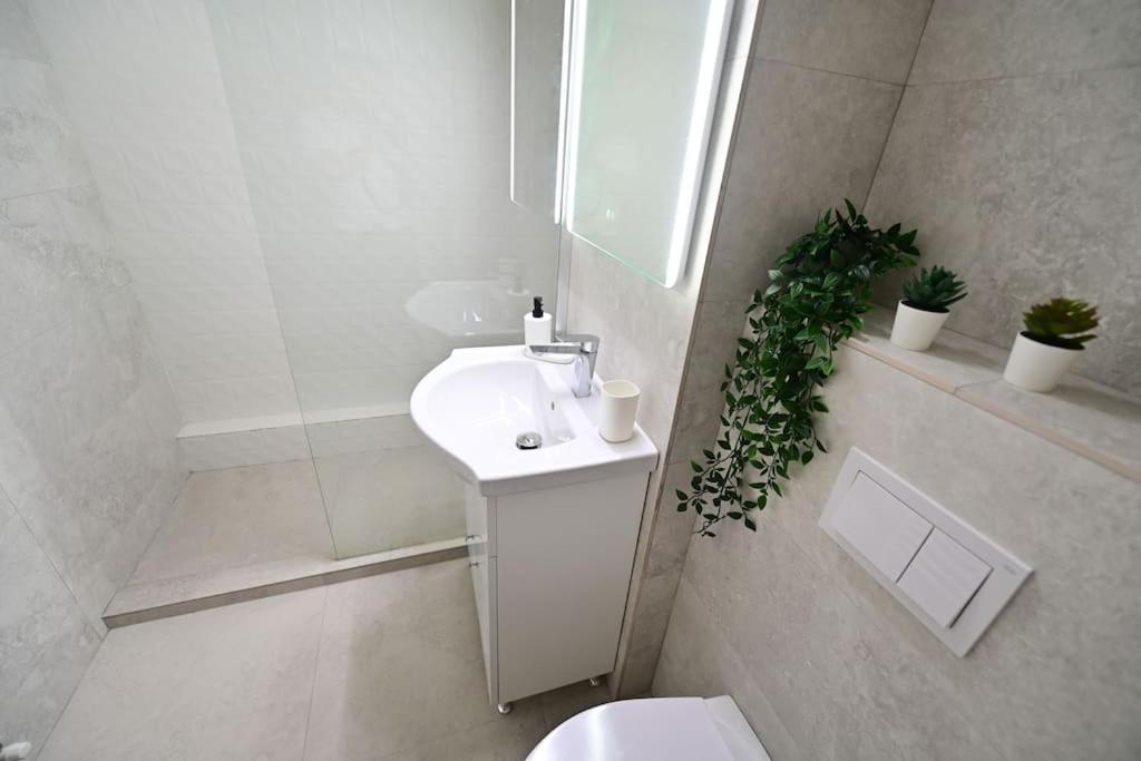 Flh - Apartament Damar Сибиу Экстерьер фото